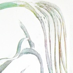 Ova - 24 x 30 Acrylic and Gesso on Canvas