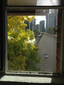 The view from on of my studio window panes