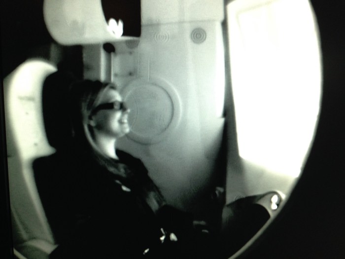 me in the flight simulator